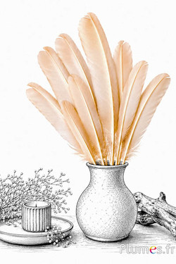 Schwan mit Goldschleier - 30-33 cm - weiss